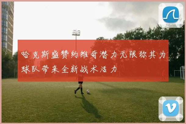 哈克斯盛赞约维奇潜力无限称其为球队带来全新战术活力